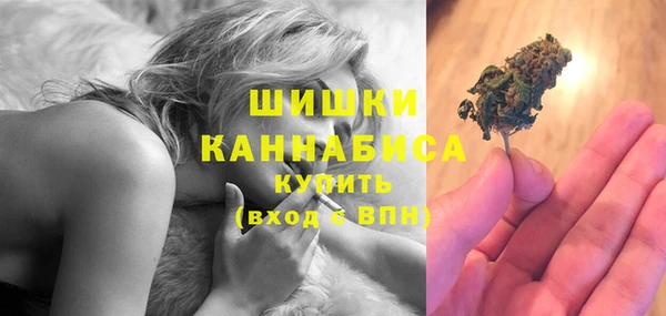 ПСИЛОЦИБИНОВЫЕ ГРИБЫ Касимов