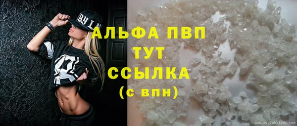 ПСИЛОЦИБИНОВЫЕ ГРИБЫ Касимов