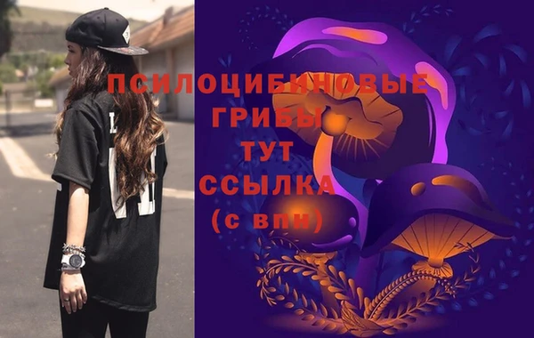 гидра Карталы