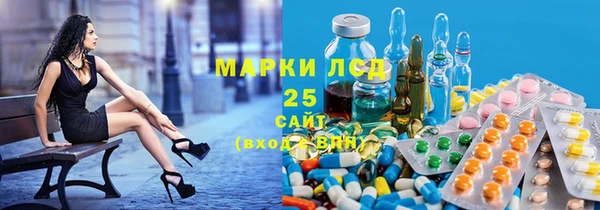 ПСИЛОЦИБИНОВЫЕ ГРИБЫ Касимов