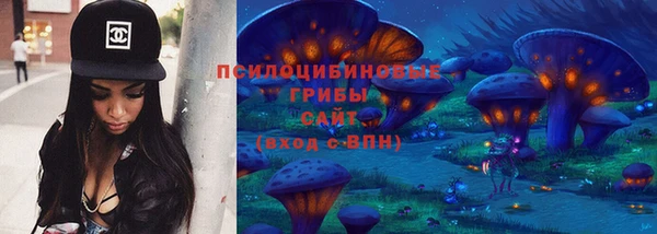 гидра Карталы